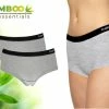 Bamboo Essentials - Ondergoed Dames - Hipster - Bamboe - 2 Stuks - Grijs - M - Lingerie - Boxershort Dames - Onderbroeken Dames - Dames Slips - Dames Ondergoed