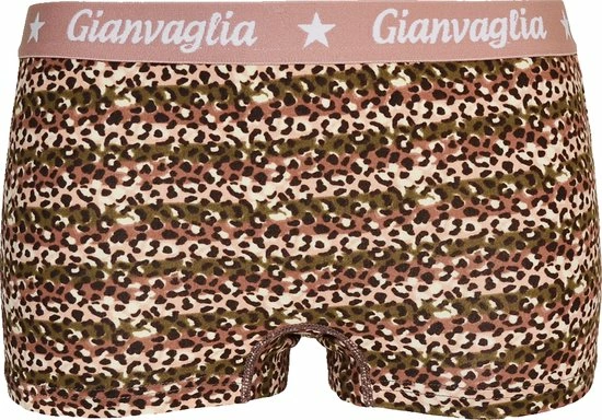 Merkloos Dames Onderbroek Katoen - Boxershort 5-pack - Korte Pijp - Maat XXL - Luipaard Print 7 Merkloos Dames Onderbroek Katoen - Boxershort 5-pack - Korte Pijp - Maat XXL - Luipaard Print - Afbeelding 5