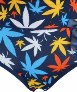 Fine Woman Dames Slips Blad Katoen 9069 5-pak -Fine Woman-L-Slips 14 Fine Woman Dames Slips Blad Katoen 9069 5-pak -Fine Woman-L-Slips -lingerie-dames-badmode Winkel 550x386