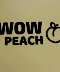 Wow Peach - Sport Body Shaper Vest - Corrigerende Top - Work Out - Afslanken - Sweat Shapewear - Verstelbaar - Zwart - X-Large -lingerie-dames-badmode Winkel 550x542 1