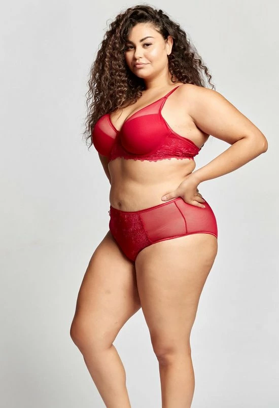 Merkloos Gaspara Soft Padded Half Cup Tulle Plunge BH | Black Friday SALE - WIJN-ROOD - Maat 80D 7 Merkloos Gaspara Soft Padded Half Cup Tulle Plunge BH | Black Friday SALE - WIJN-ROOD - Maat 80D - Afbeelding 5