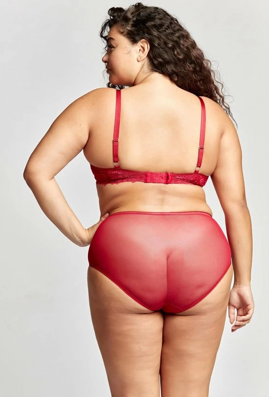 Merkloos Gaspara Soft Padded Half Cup Tulle Plunge BH | Black Friday SALE - WIJN-ROOD - Maat 80D 9 Merkloos Gaspara Soft Padded Half Cup Tulle Plunge BH | Black Friday SALE - WIJN-ROOD - Maat 80D - Afbeelding 7